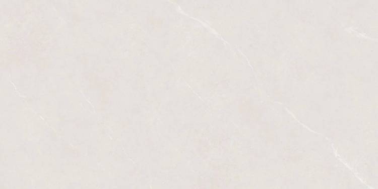 Керамогранит Protiles Alicante PT12F7046 Light Grey Matt 60x120