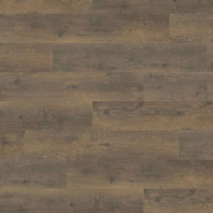Ламинат Haro Tritty 100 Campus 4V Дуб Бергамо Антик Дымчатый 538749 1282x243x8