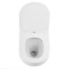 Унитаз подвесной Cezares Duet CZR-2462-TH-TOR/CZR-2316-SC безободковый, сиденье микролфит фото 6