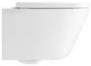 Унитаз подвесной Jacob Delafon Bastille EDAS102-00 безободковый, с сиденьем микролифт E34201-00 фото 2