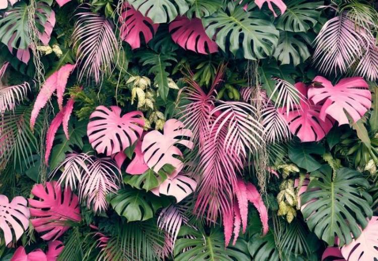 3D Фотообои Artegrafico «Живая стена с розовыми акцентами» TB-027 канвас