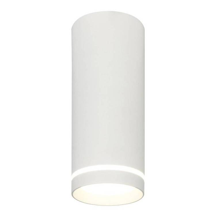 Потолочный светодиодный светильник Escada 20009SMU/02LED SWH
