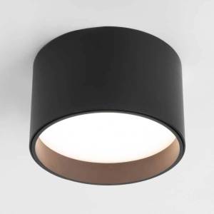 Потолочный светодиодный светильник Elektrostandard Banti 25123/LED 13W черный