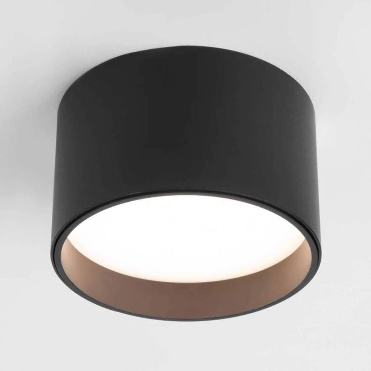 Потолочный светодиодный светильник Elektrostandard Banti 25123/LED 13W черный