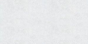 Керамическая плитка Belani Grunge белый 60x30