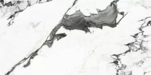 Керамогранит Yurtbay Marble P19707 Panda White Polished 60x120