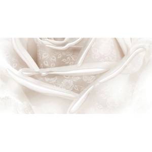 Декор Belleza Нежность 04-01-1-10-05-11-350-2 Бежевый B 25x50