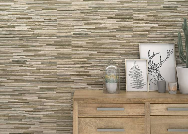 Porcelanicos HDC Ordesa