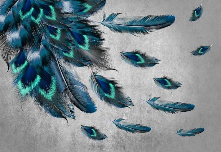 3D Фотообои Artegrafico «Красивые перья на штукатурке» NV-024 канвас