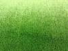 Искусственная трава спортивная высота ворса 40мм 8800dTx