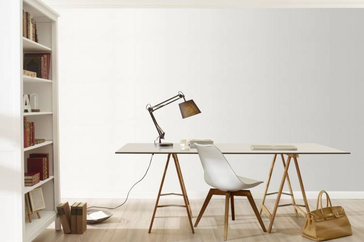 Rasch Pure White