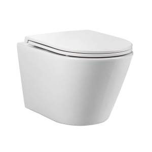 Унитаз подвесной Aquatek Вега AQ1904T-00 сиденье микролифт, белый, 490x360x320