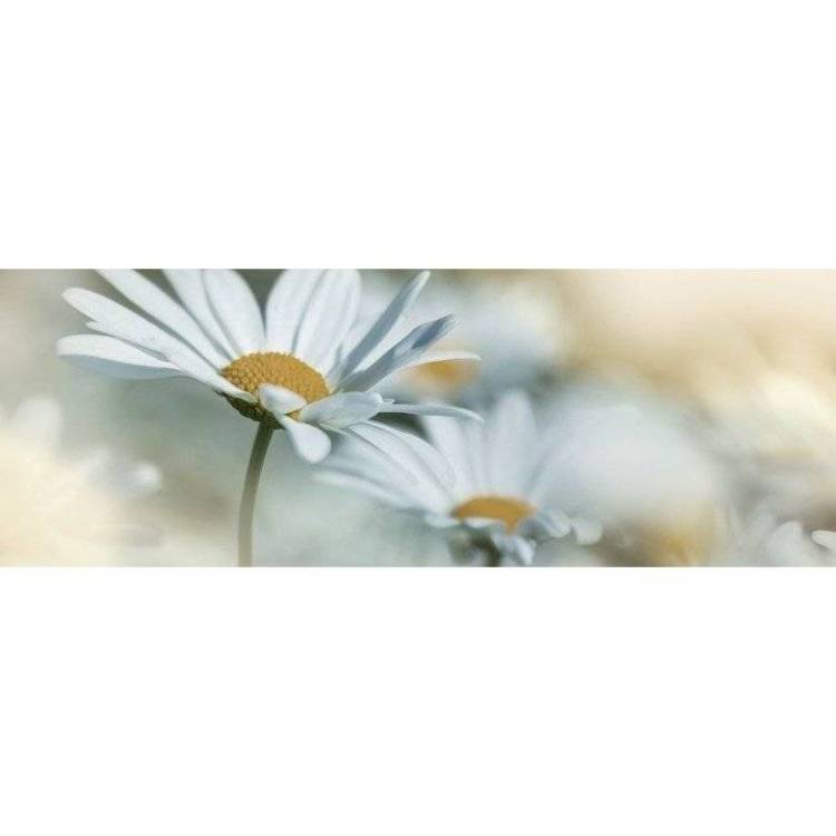 Декор Keros Ceramica Dance Dec Calido E 25x70