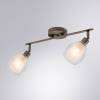 Спот Arte Lamp Biham A3184PL-2AB фото 4