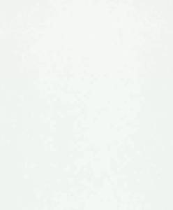 Обои Marburg Flora 82345