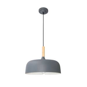 Подвесной светильник Arte Lamp Kayla A7102SP-1GY