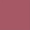 Керамическая плитка Vives Satinados Fucsia Mate 20x20