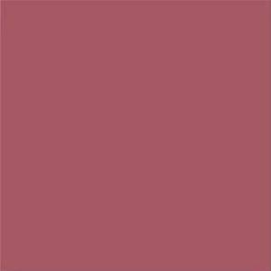 Керамическая плитка Vives Satinados Fucsia Mate 20x20