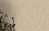 Обои флизелиновые Alessandro Allori Four Seasons 1608-6 фото 3