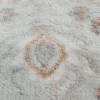 Ковер Trendy 5947A Cream/Grey 0.8x1.5 м фото 3