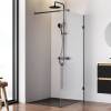 Душевая перегородка Am.Pm X-Joy W94WI-100-F1-BTE 100x195, стекло прозрачное 6 мм, профиль черный фото 2
