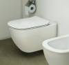 Крышка-сиденье Ideal Standard Tesi T352701 с микролифтом, петли хром фото 3