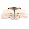 Потолочная люстра ST Luce Foresta SL483.352.05