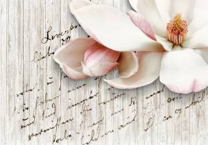 3D Фотообои Artegrafico «Нежная магнолия на досках» PRV-027 песок