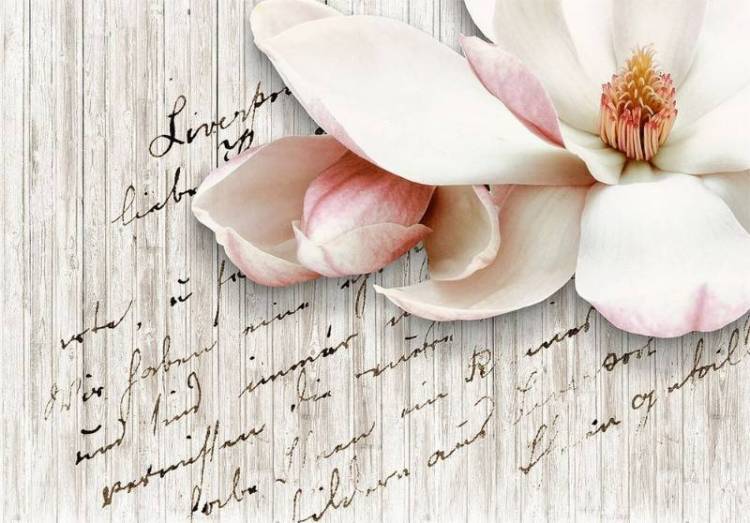 3D Фотообои Artegrafico «Нежная магнолия на досках» PRV-027 песок