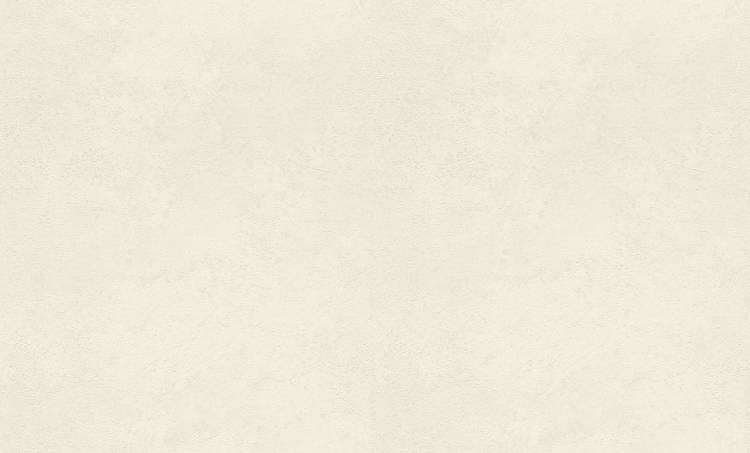 Обои Rasch Graffiti Exclusiv 910544