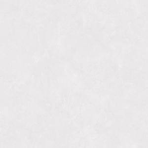 Керамогранит Wan Sheng Porcelain Tile AC-M6031 Матовый 60x60