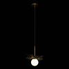 Подвесной светильник Loft IT Monro 10213/B Black фото 2