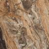 Керамогранит Primavera GR104 Richter Brown High Glossy 60x60 фото 10