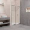 Душевая дверь RGW Passage PA-016 350801610-11 Хром 100x195 фото 2