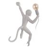 Настенный светильник Loft IT Monkey 10314W/A фото 4