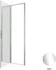 Душевая дверь в нишу Allen Brau Priority 3.31028.00 профиль хром, 1000x2000 фото 4