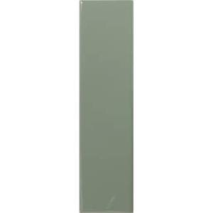 Керамическая плитка Dna Tiles Match 130855 Sage Gloss 6.25x25