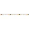 Светодиодная лента Arlight 9,6W/m 120LED/m 2835SMD теплый белый 50M 024572(2) фото 2