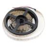 Светодиодная лента SWG 28,8W/m 120LED/m 5050SMD RGB/ холодный белый 5M 000969 фото 4
