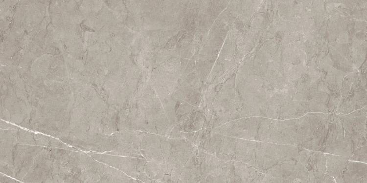 Керамогранит Pamesa Sense 004.869.0002.14631 Gris Pol 60x120