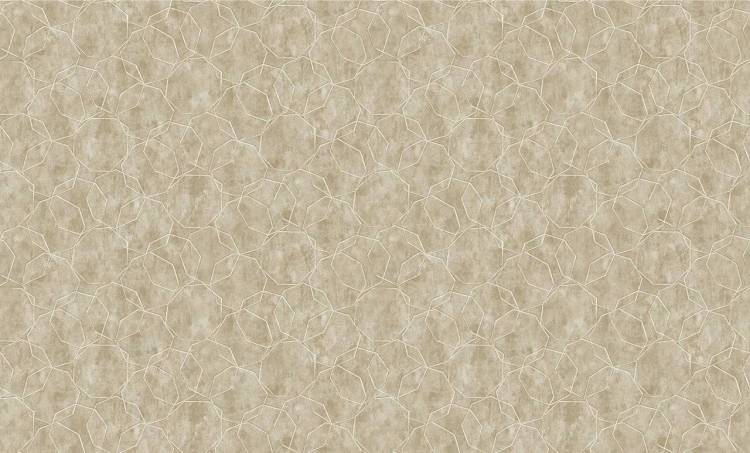Обои бумажные Bruno Zoff Gold 60120-2