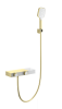 Смеситель для ванны Wonzon & Woghand WW-B2551-BG с душем и термостатом, брашированное золото