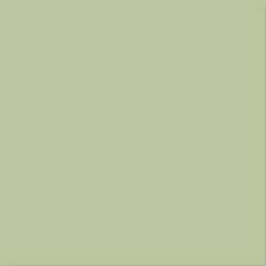 Керамическая плитка Vives Satinados Verde Mate 20x20