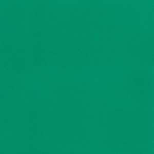 Линолеум Tarkett Omnisports Speed (Омниспортс Спид) Field Green (Филд Зеленый) (рулон: 2x20.5=41 м2)