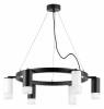 Подвесная люстра Lightstar Rullo LR0163733631 фото 2