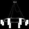 Подвесная люстра Lightstar Rullo LR018864364 фото 3