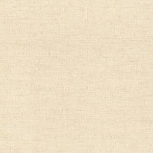 Обои виниловые Rasch Axiom 915945