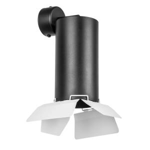 Настенно-потолочные светильники Lightstar Rullo RB6487486