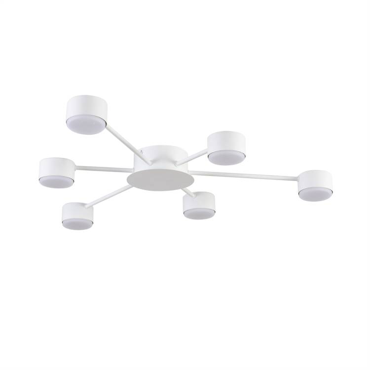 Потолочная люстра Lumion Torina 8343/6C