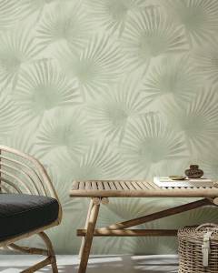 Decori & Decori Zen